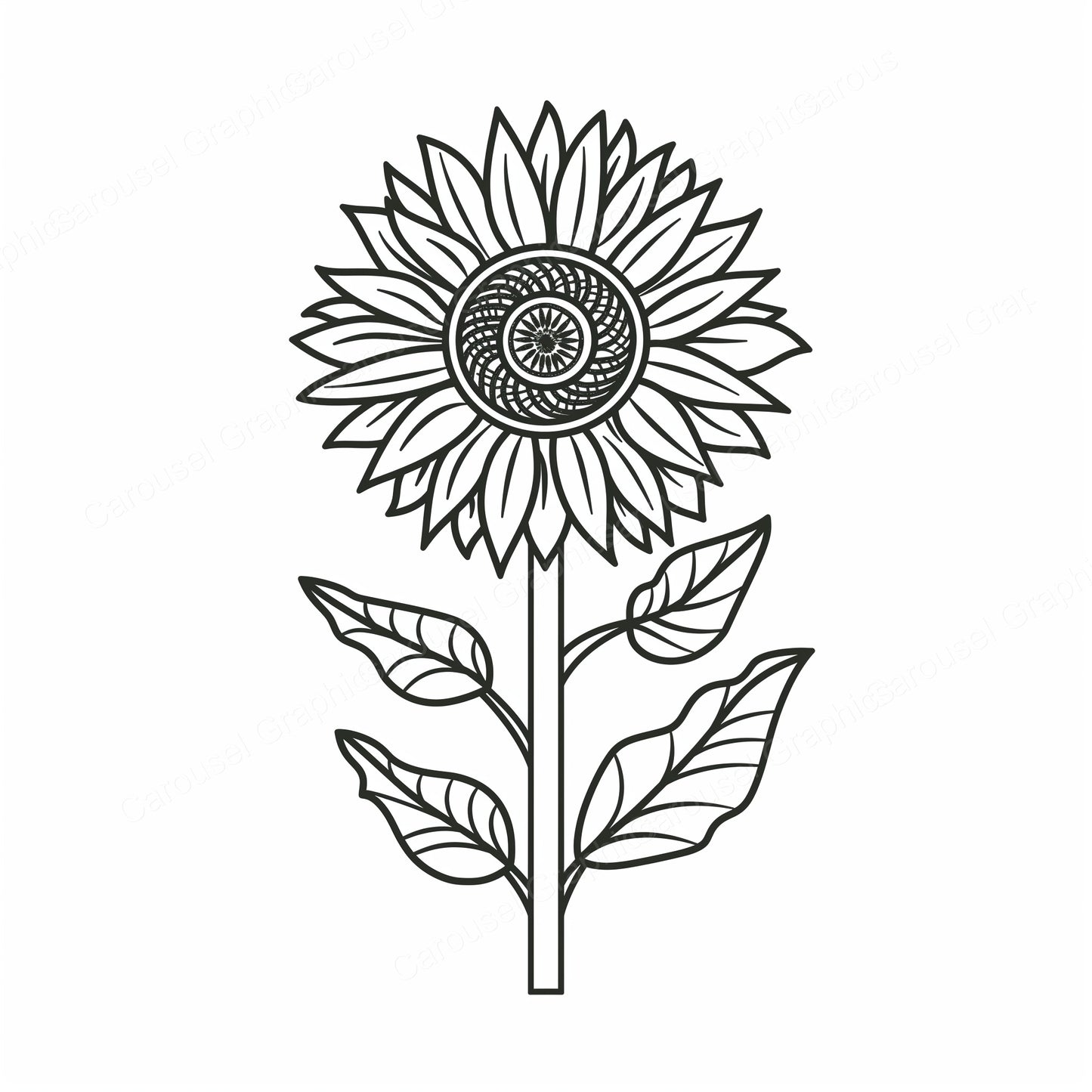 Sunflower Vector Graphic preview