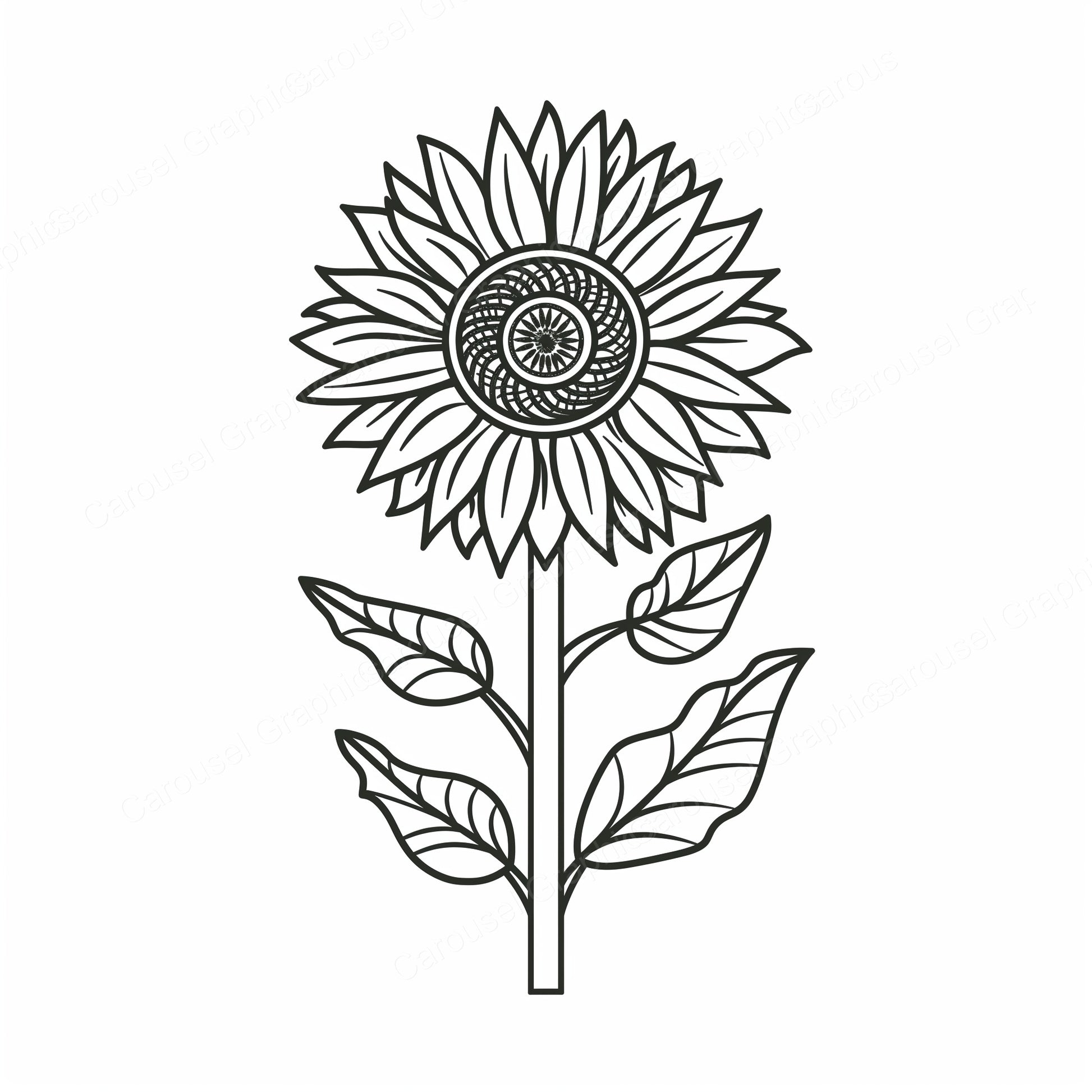 Sunflower Vector Graphic preview