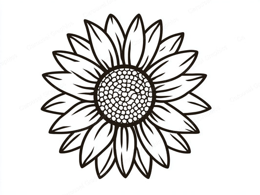 Sunflower Vector Graphic preview
