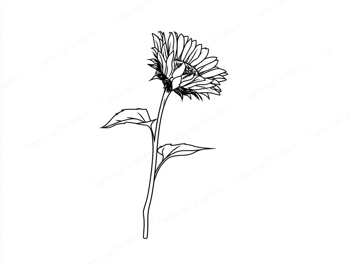 Sunflower Vector Graphic preview