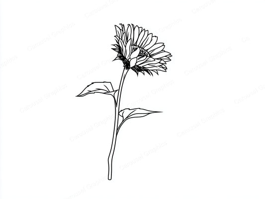 Sunflower Vector Graphic preview