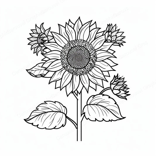 Sunflower Vector Graphic preview