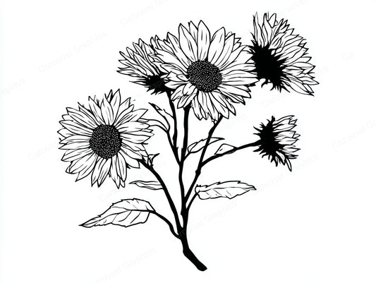 Sunflower Vector Graphic preview