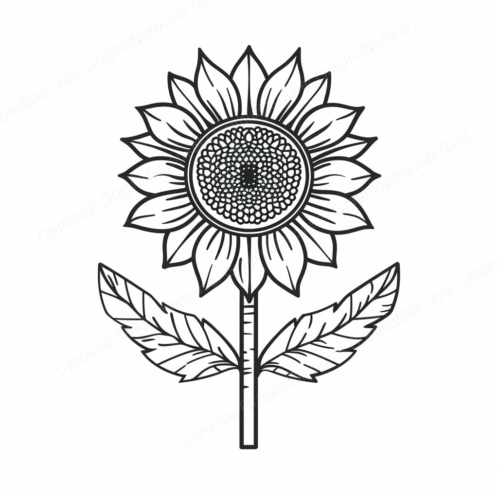 Sunflower Vector Graphic preview
