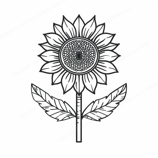 Sunflower Vector Graphic preview