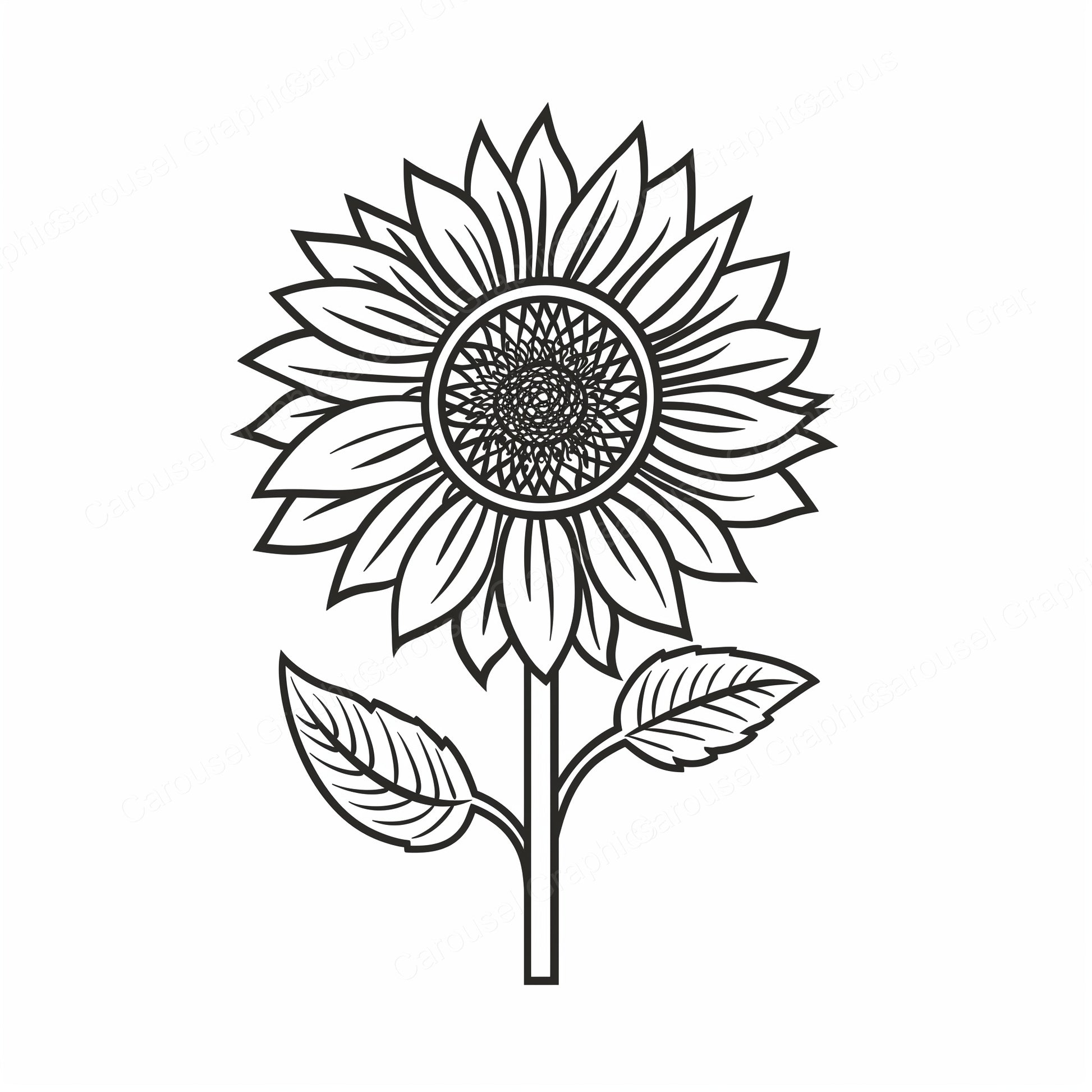 Sunflower Vector Graphic preview