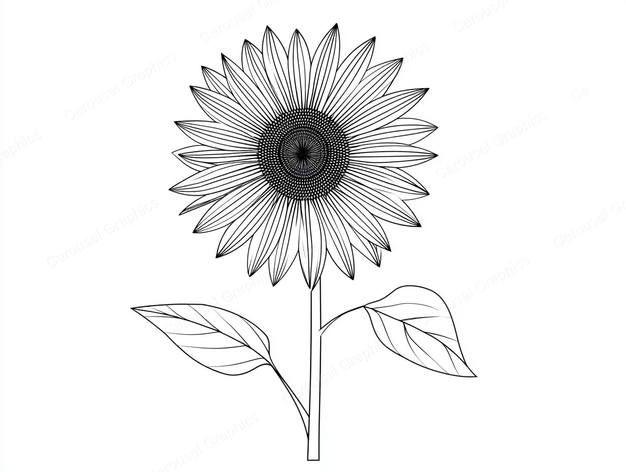 Sunflower Vector Graphic preview