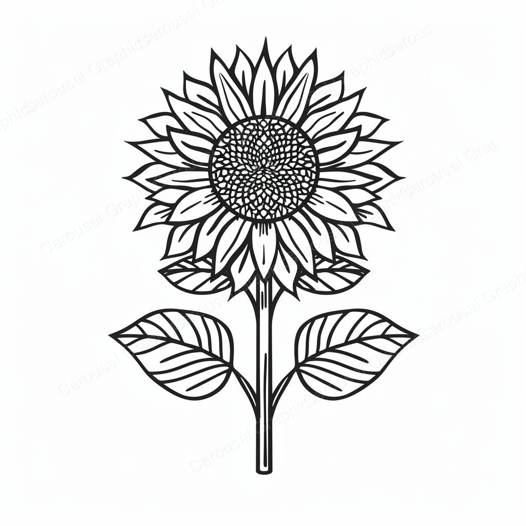 Sunflower Vector Graphic preview