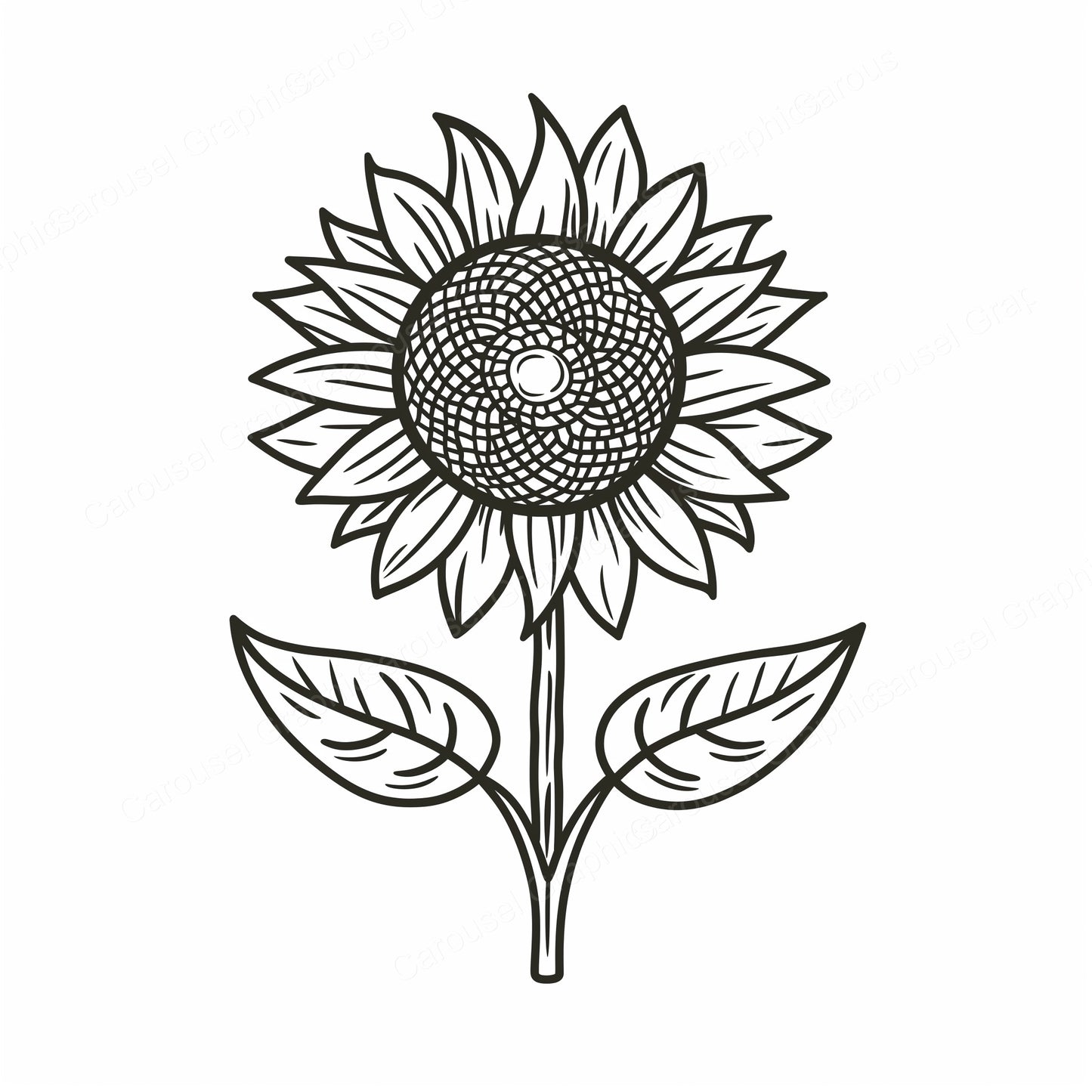 Sunflower Vector Graphic preview
