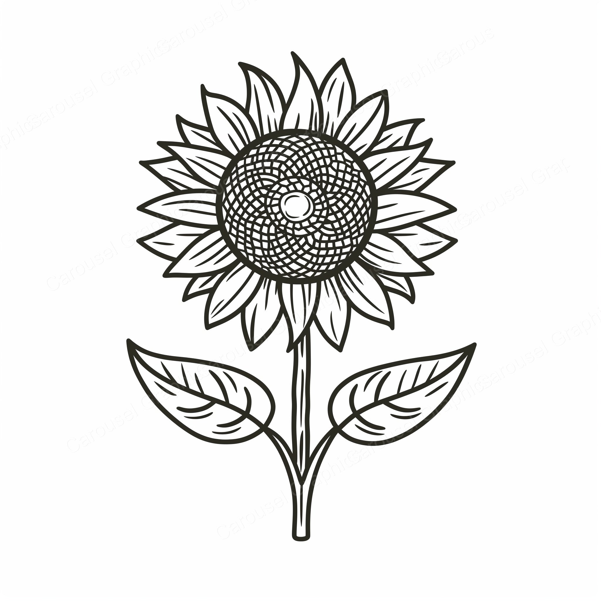 Sunflower Vector Graphic preview