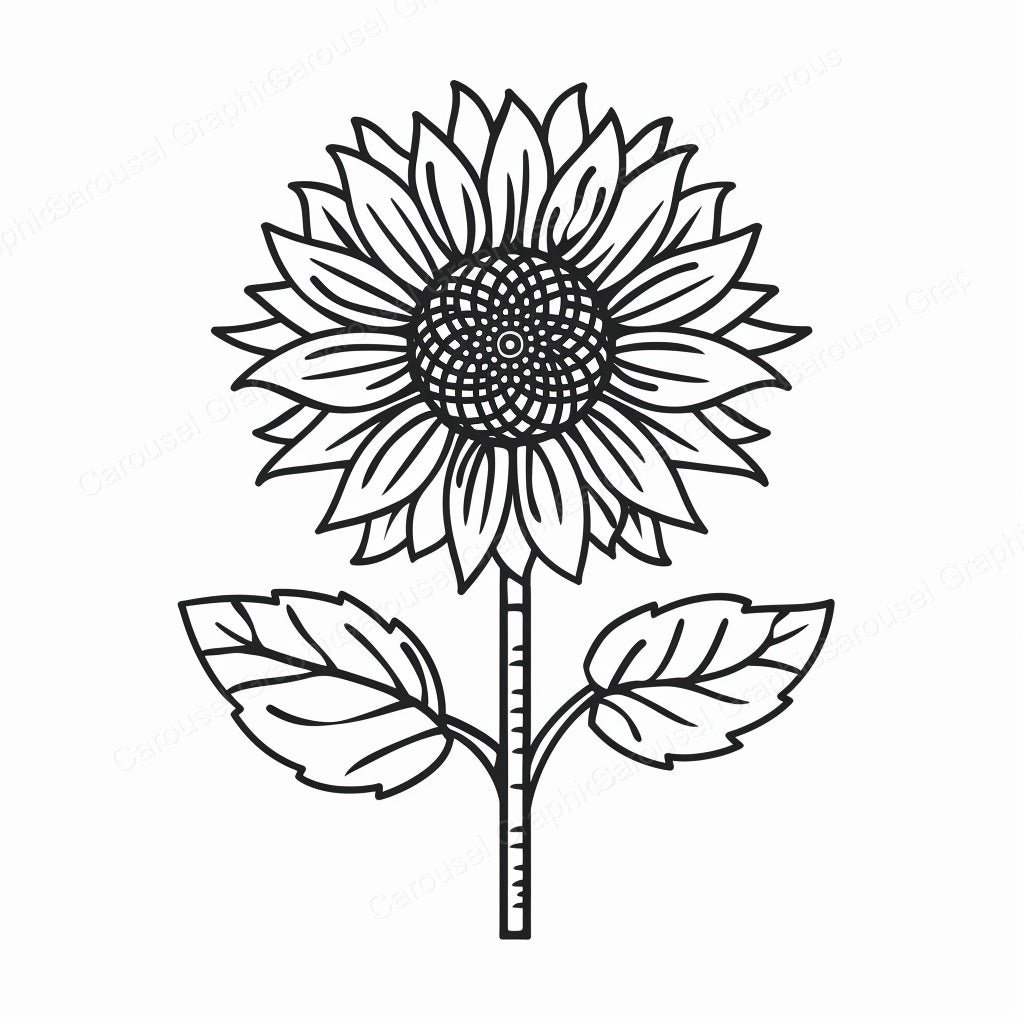 Sunflower Vector Graphic preview