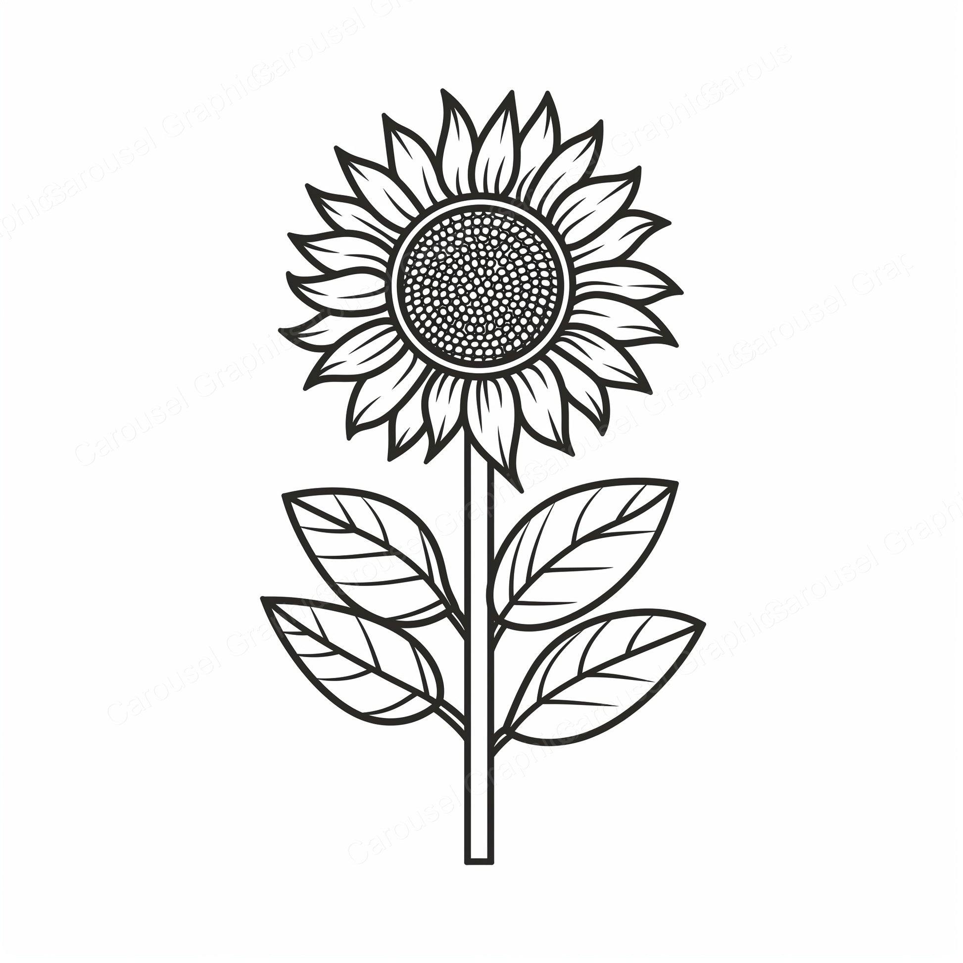 Sunflower Vector Graphic preview
