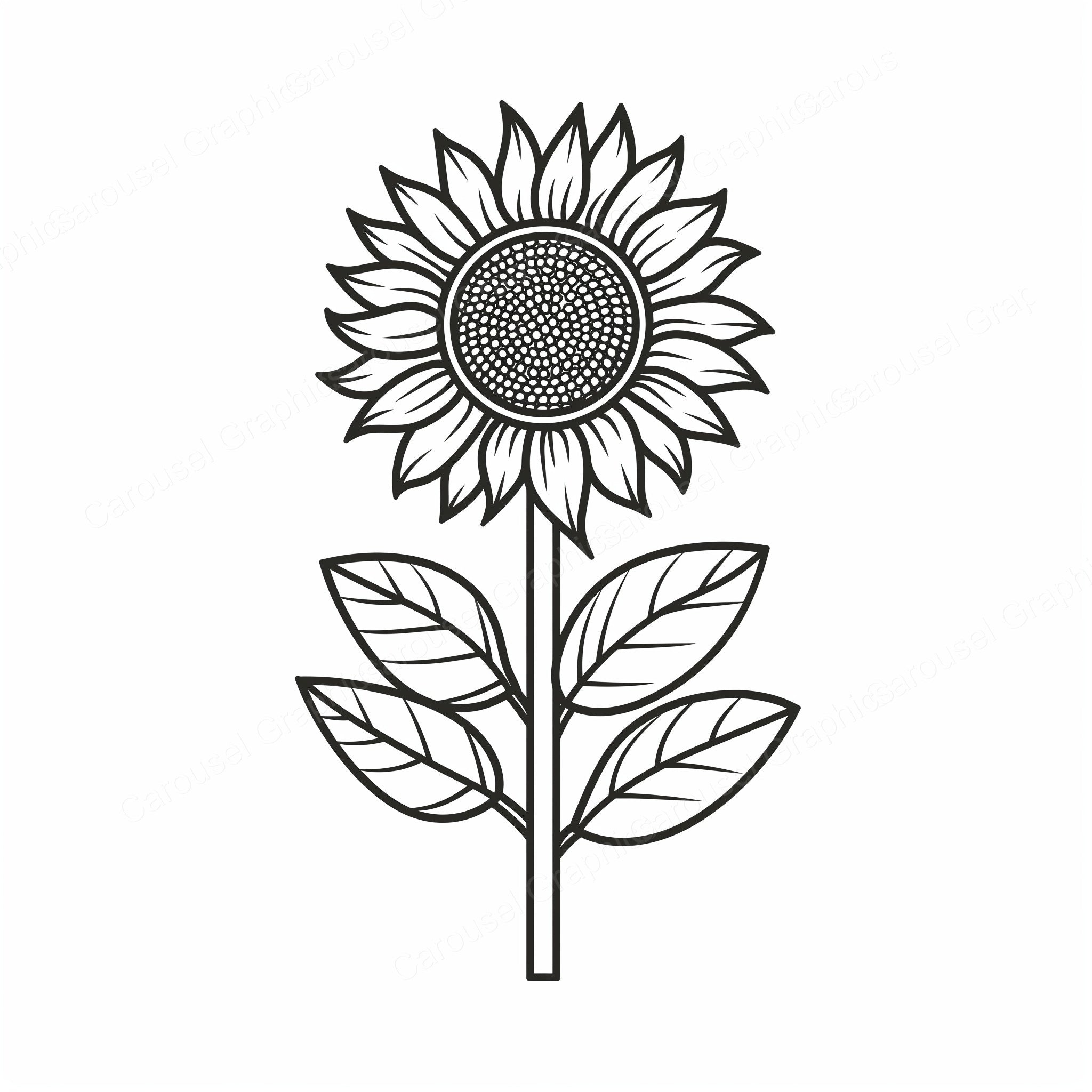 Sunflower Vector Graphic preview
