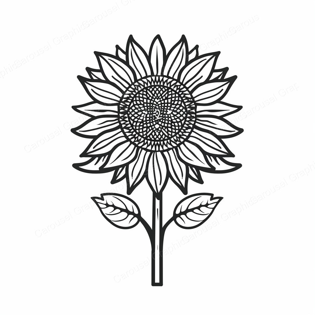 Sunflower Vector Graphic preview