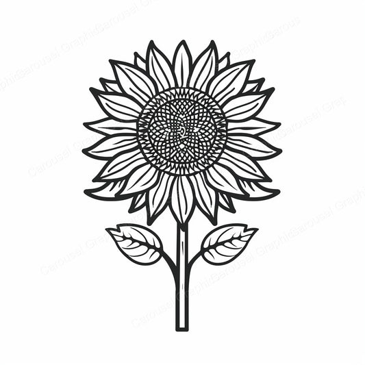 Sunflower Vector Graphic preview