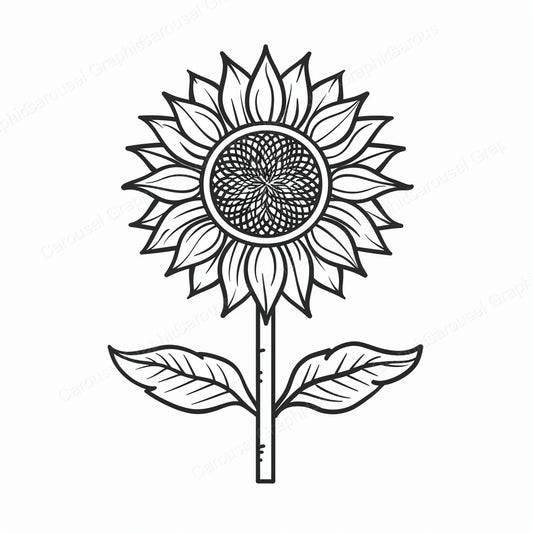 Sunflower Vector Graphic preview