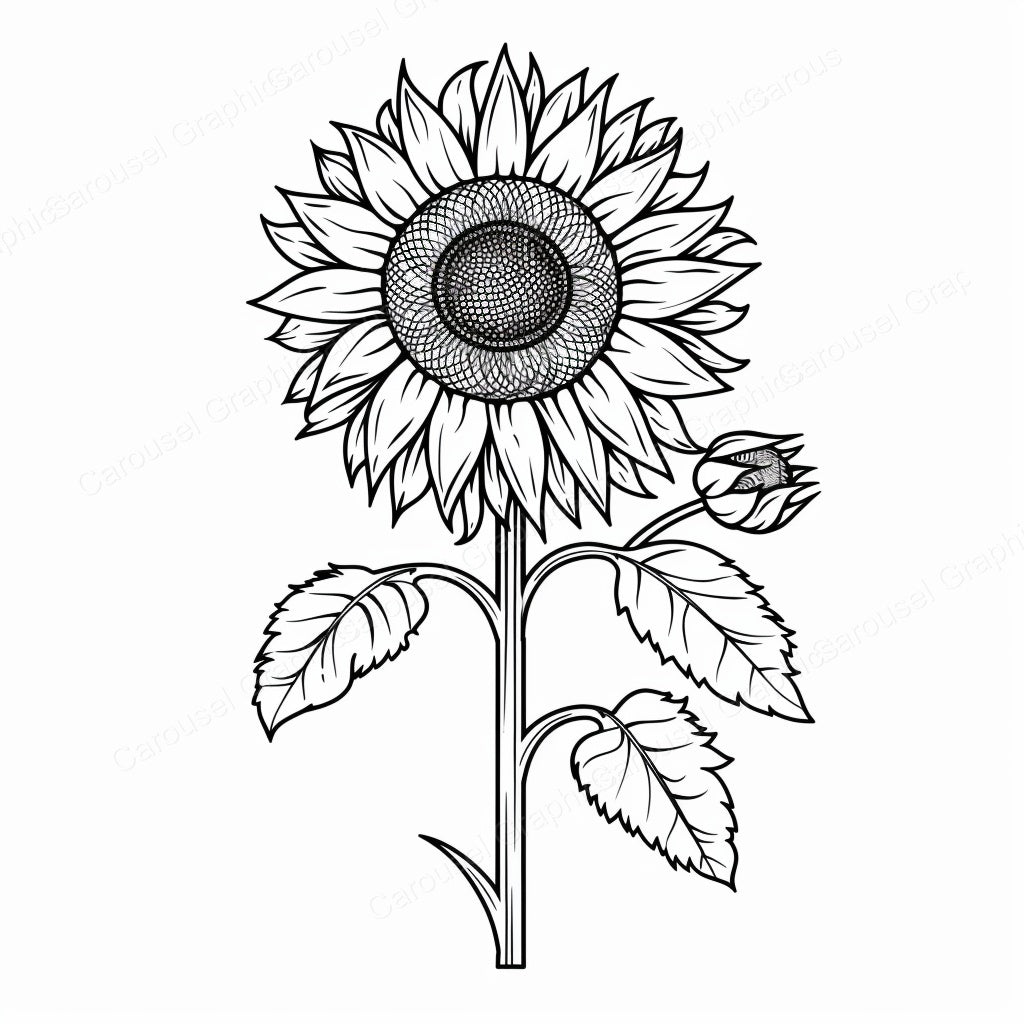 Sunflower Vector Graphic preview
