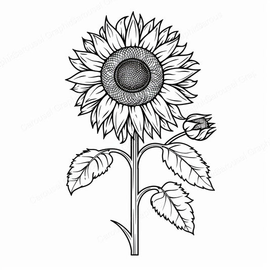 Sunflower Vector Graphic preview