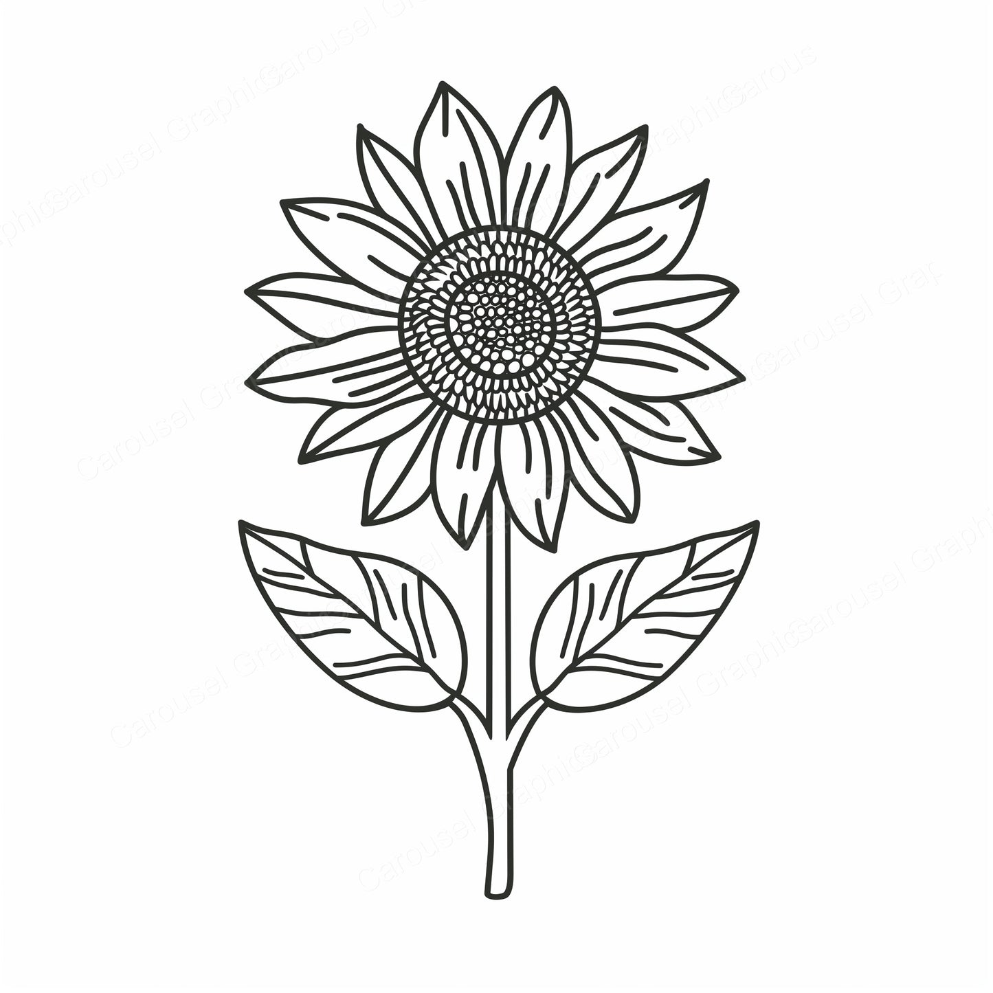 Sunflower Vector Graphic preview