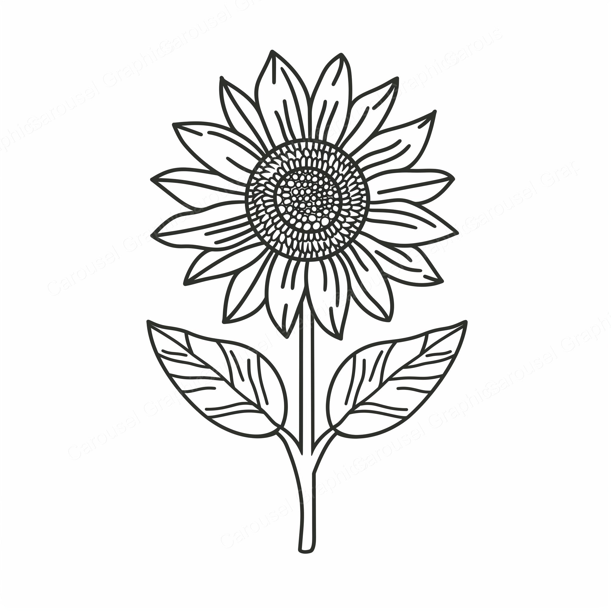 Sunflower Vector Graphic preview