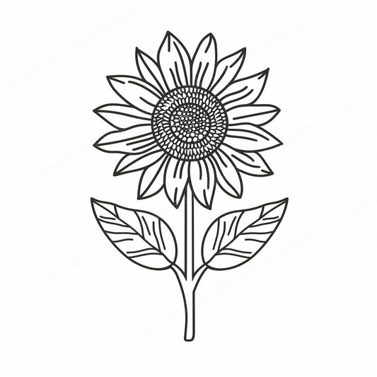 Sunflower Vector Graphic preview