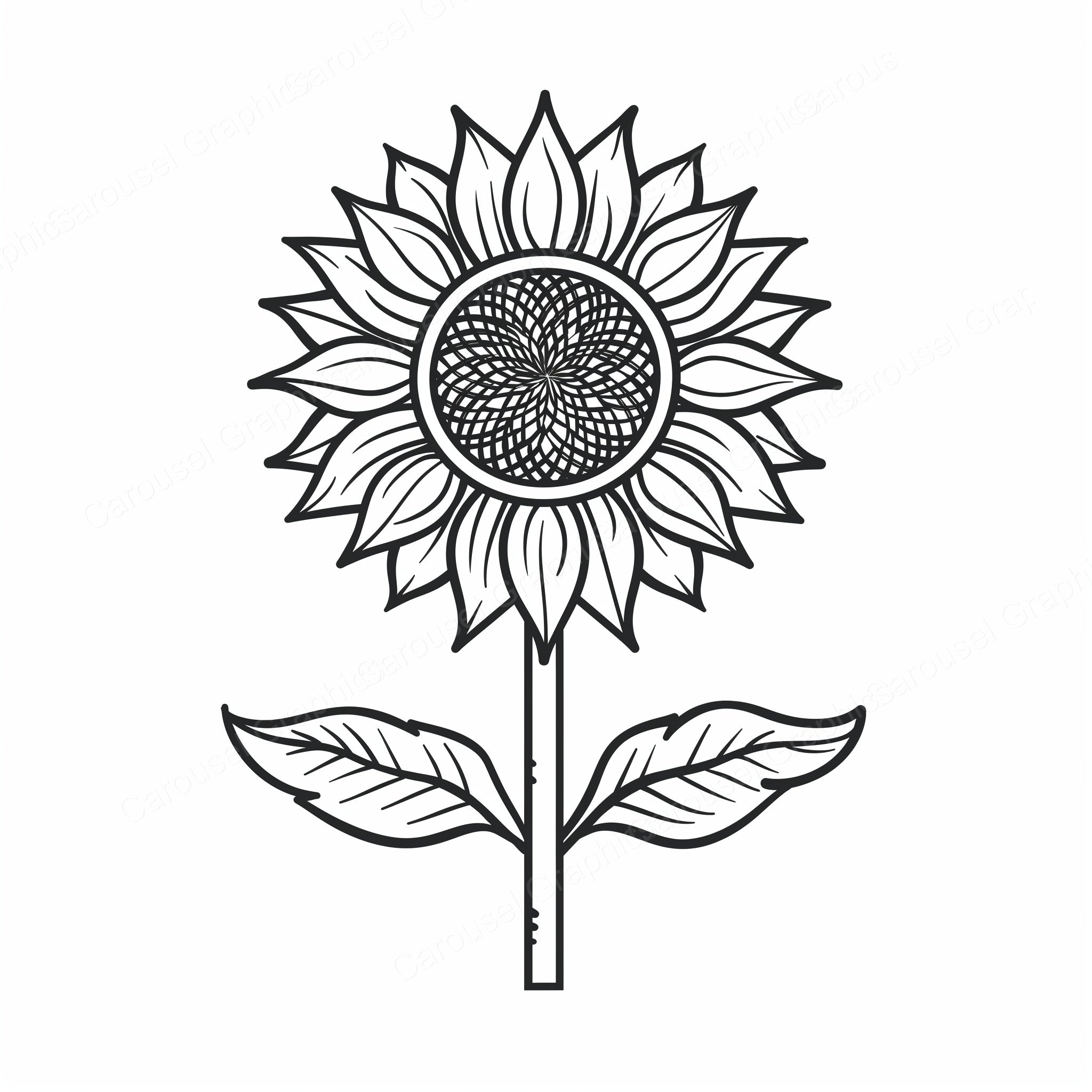 Sunflower Vector Graphic preview