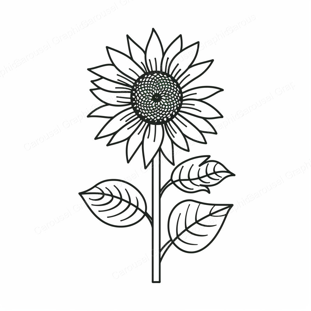 Sunflower Vector Graphic preview