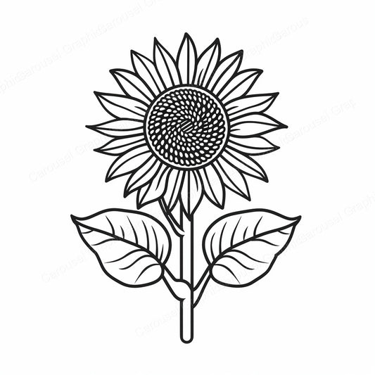Sunflower Vector Graphic preview