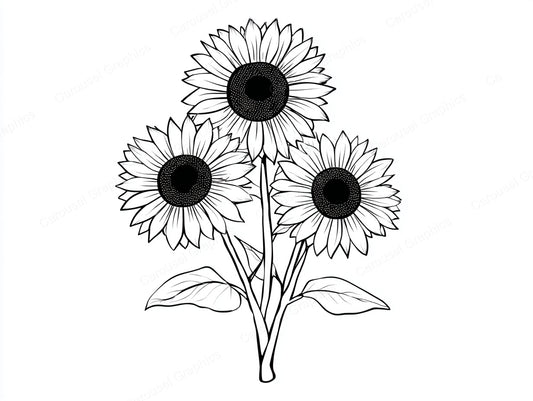 Sunflower Vector Graphic preview