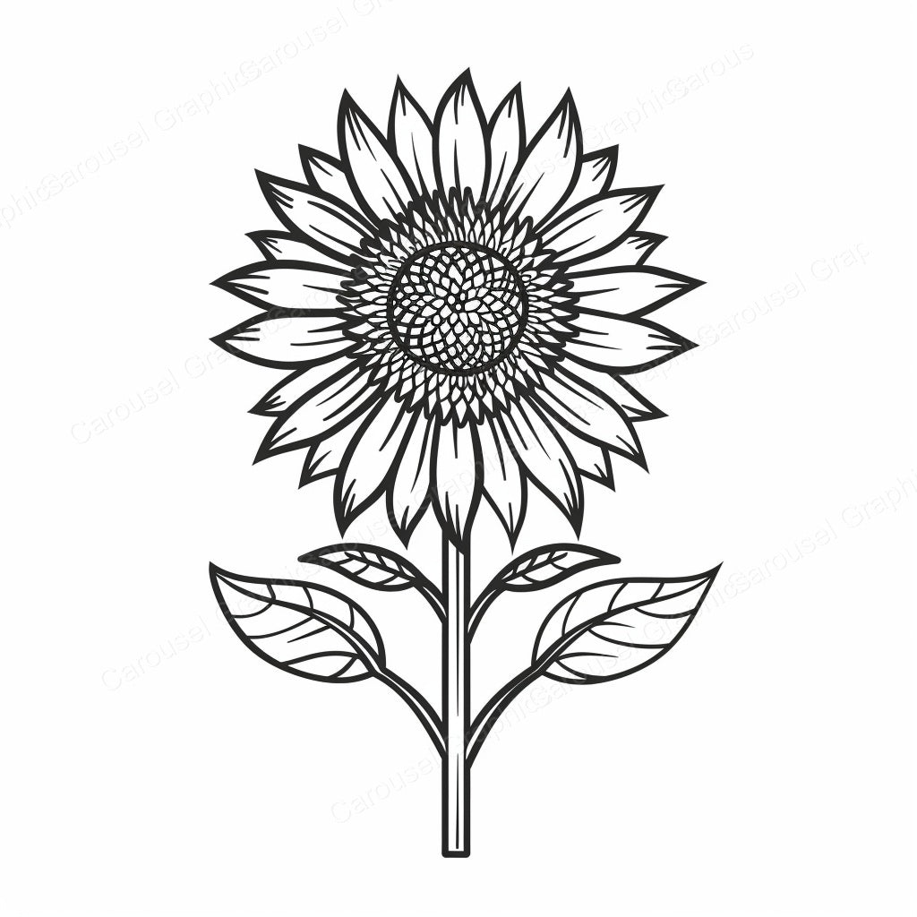 Sunflower Vector Graphic preview
