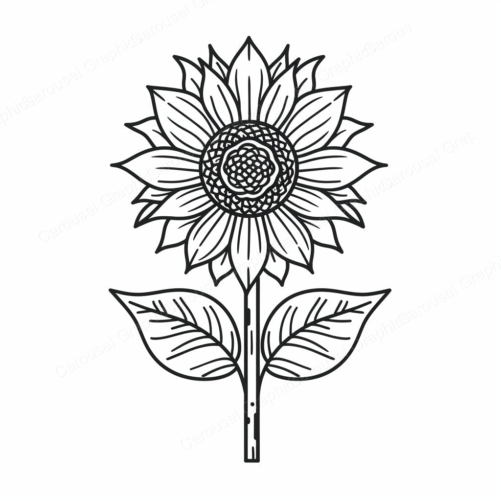Sunflower Vector Graphic preview