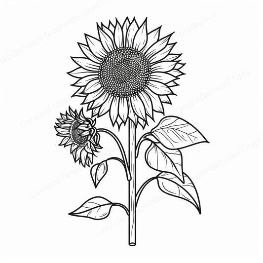 Sunflower Vector Graphic preview