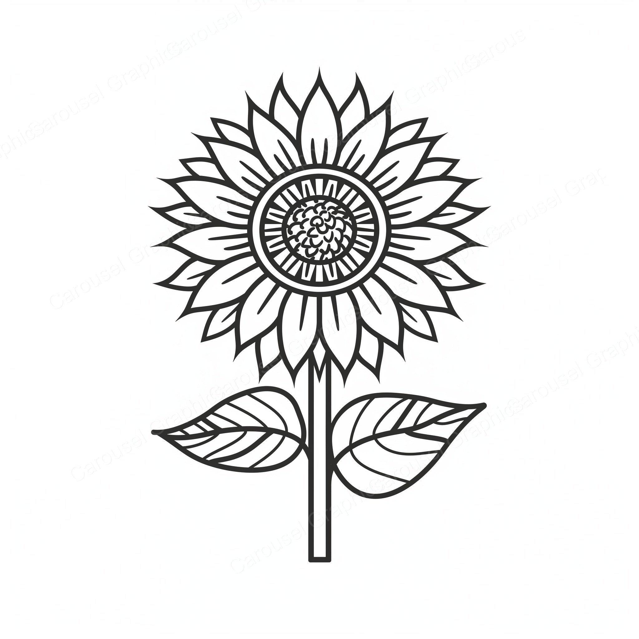 Sunflower Vector Graphic preview