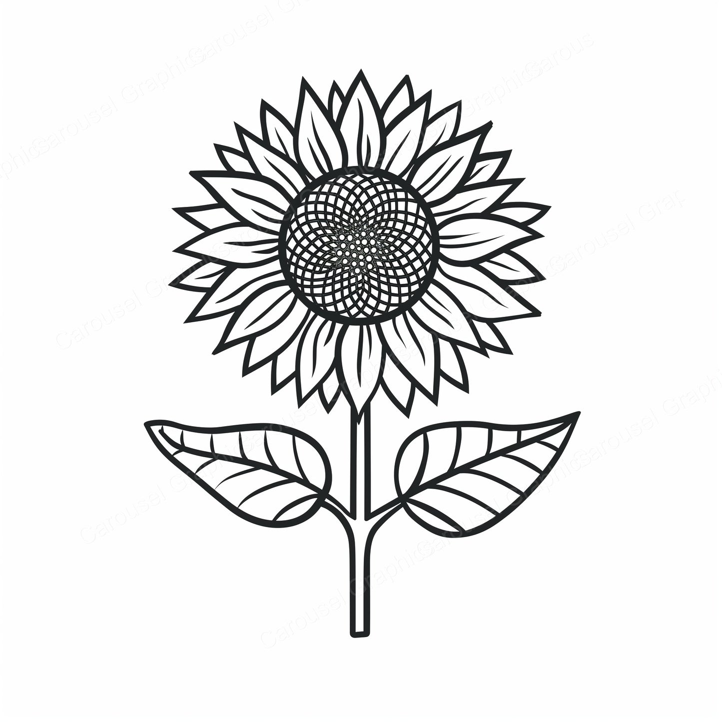 Sunflower Vector Graphic preview
