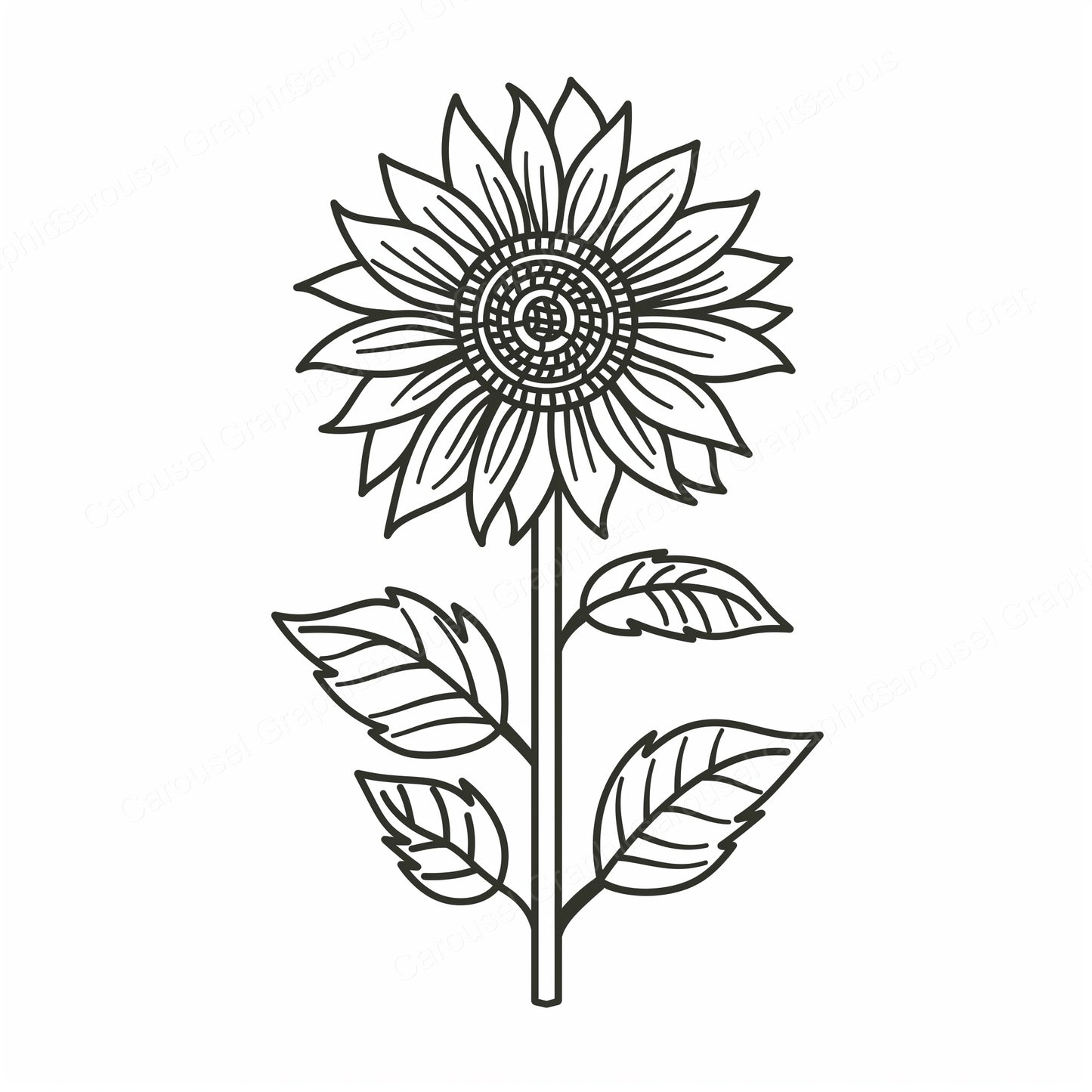 Sunflower Vector Graphic preview
