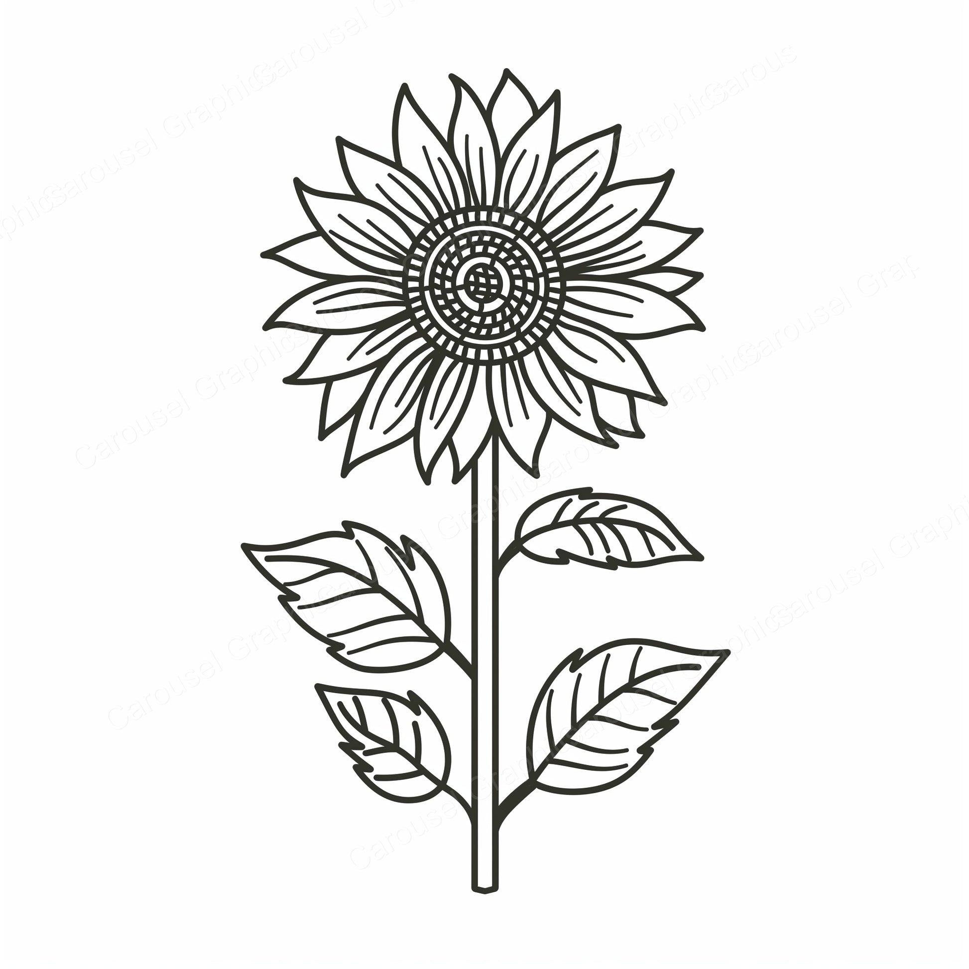 Sunflower Vector Graphic preview
