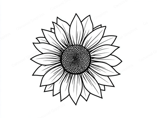 Sunflower Vector Graphic preview