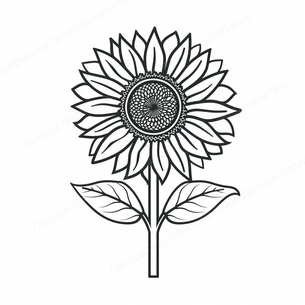 Sunflower Vector Graphic preview