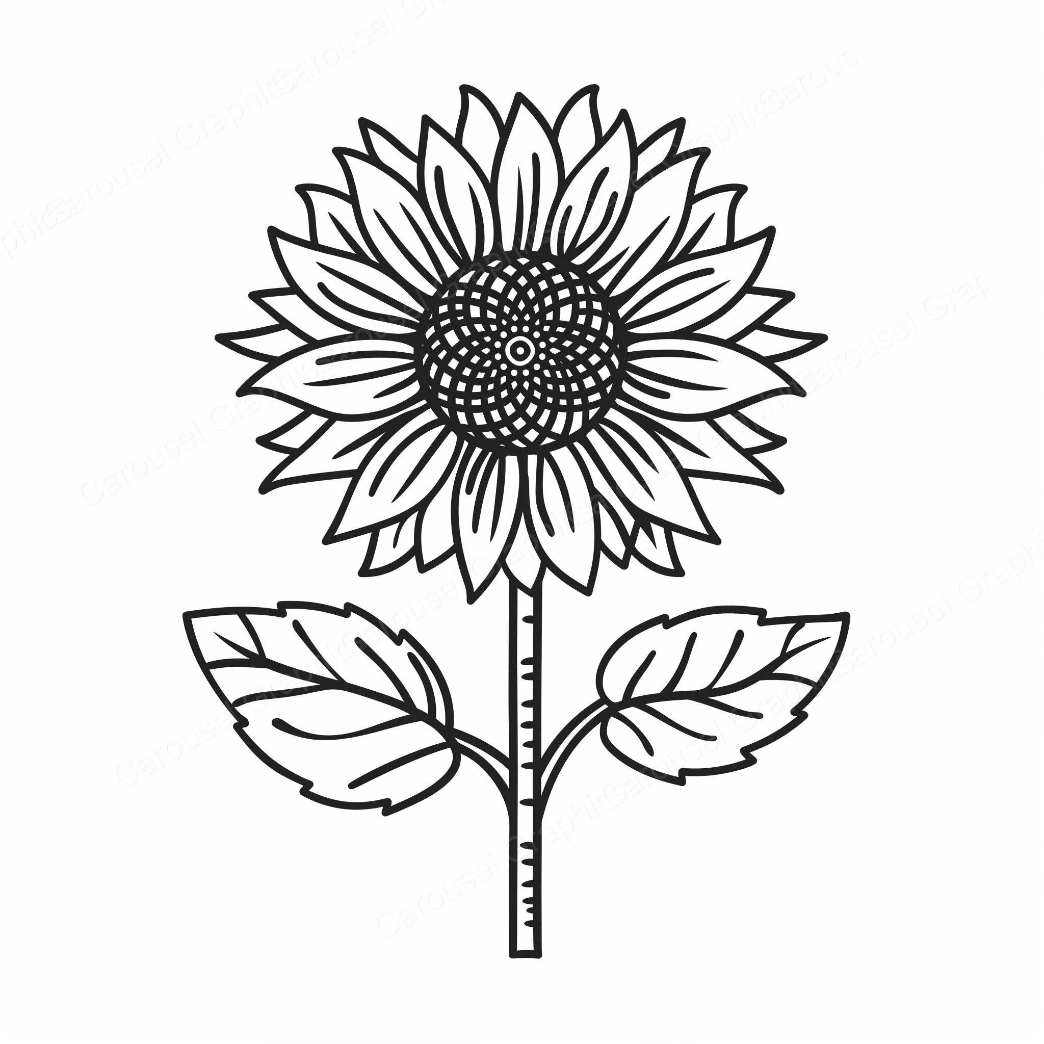 Sunflower Vector Graphic preview