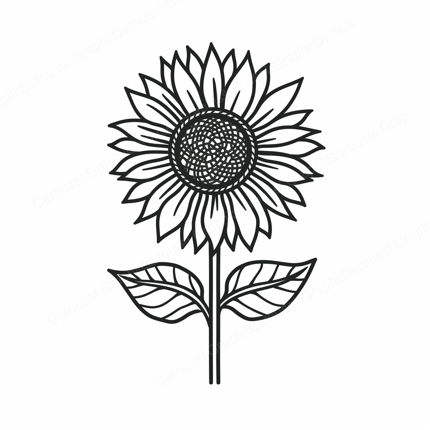 Sunflower Vector Graphic preview