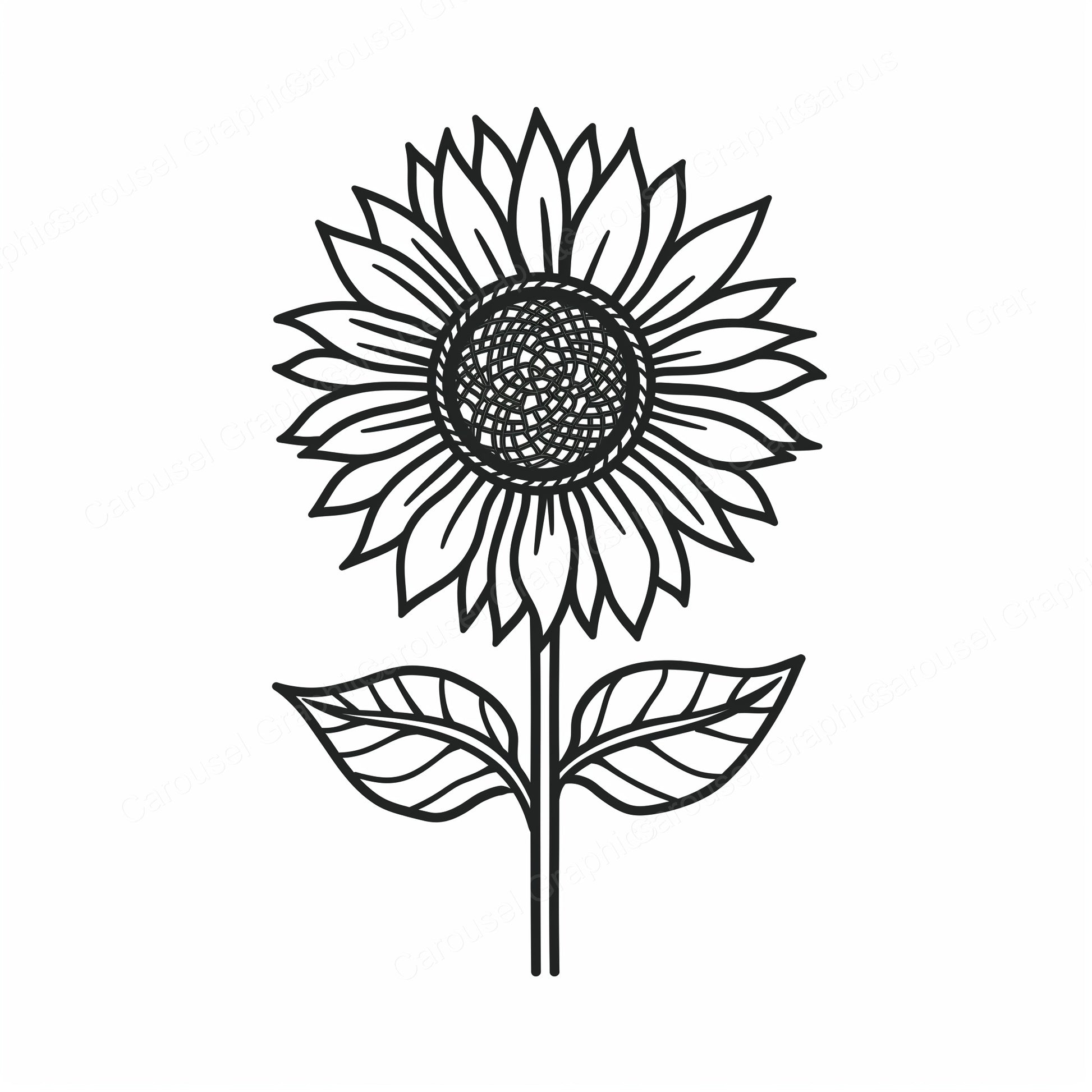 Sunflower Vector Graphic preview