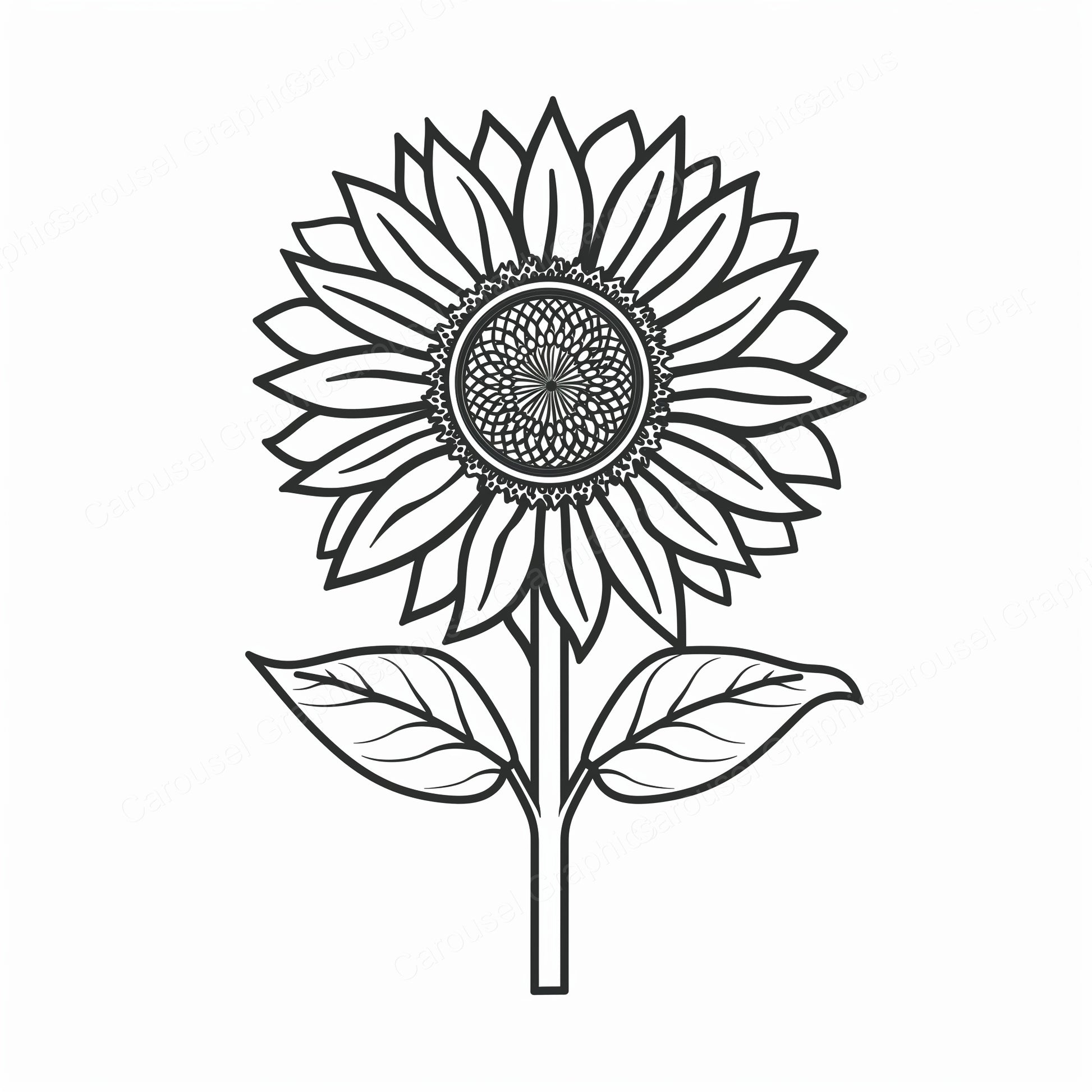 Sunflower Vector Graphic preview