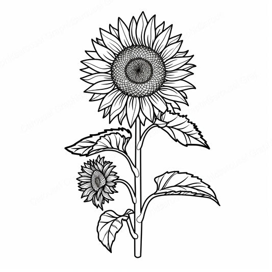 Sunflower Vector Graphic preview