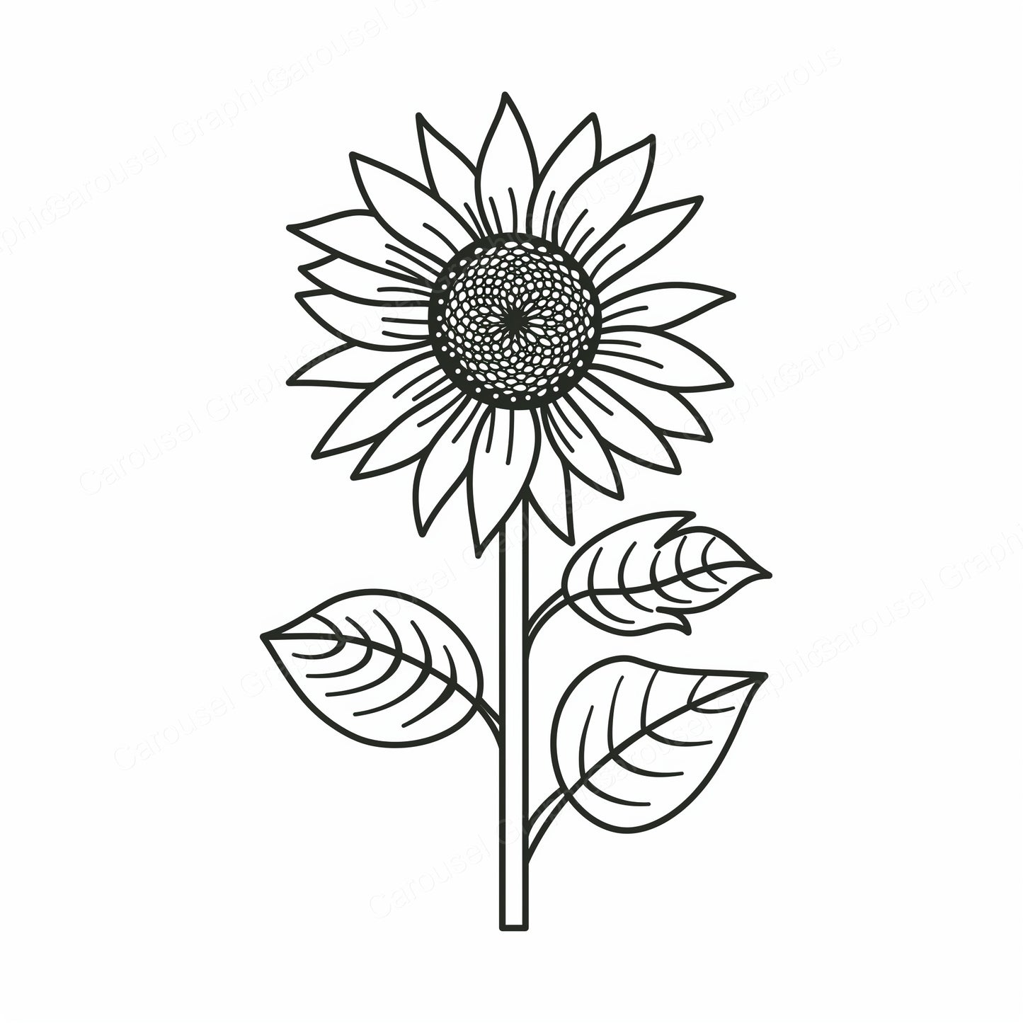 Sunflower Vector Graphic preview