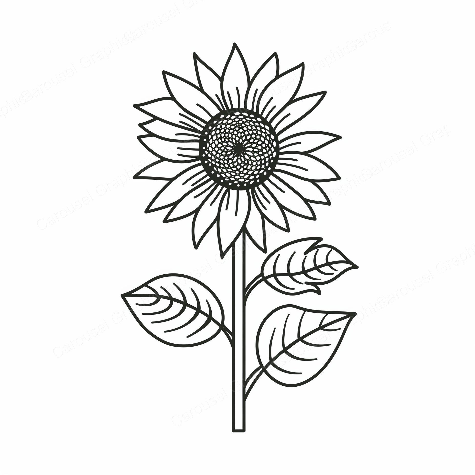 Sunflower Vector Graphic preview