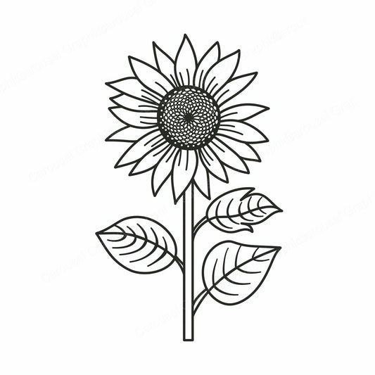 Sunflower Vector Graphic preview