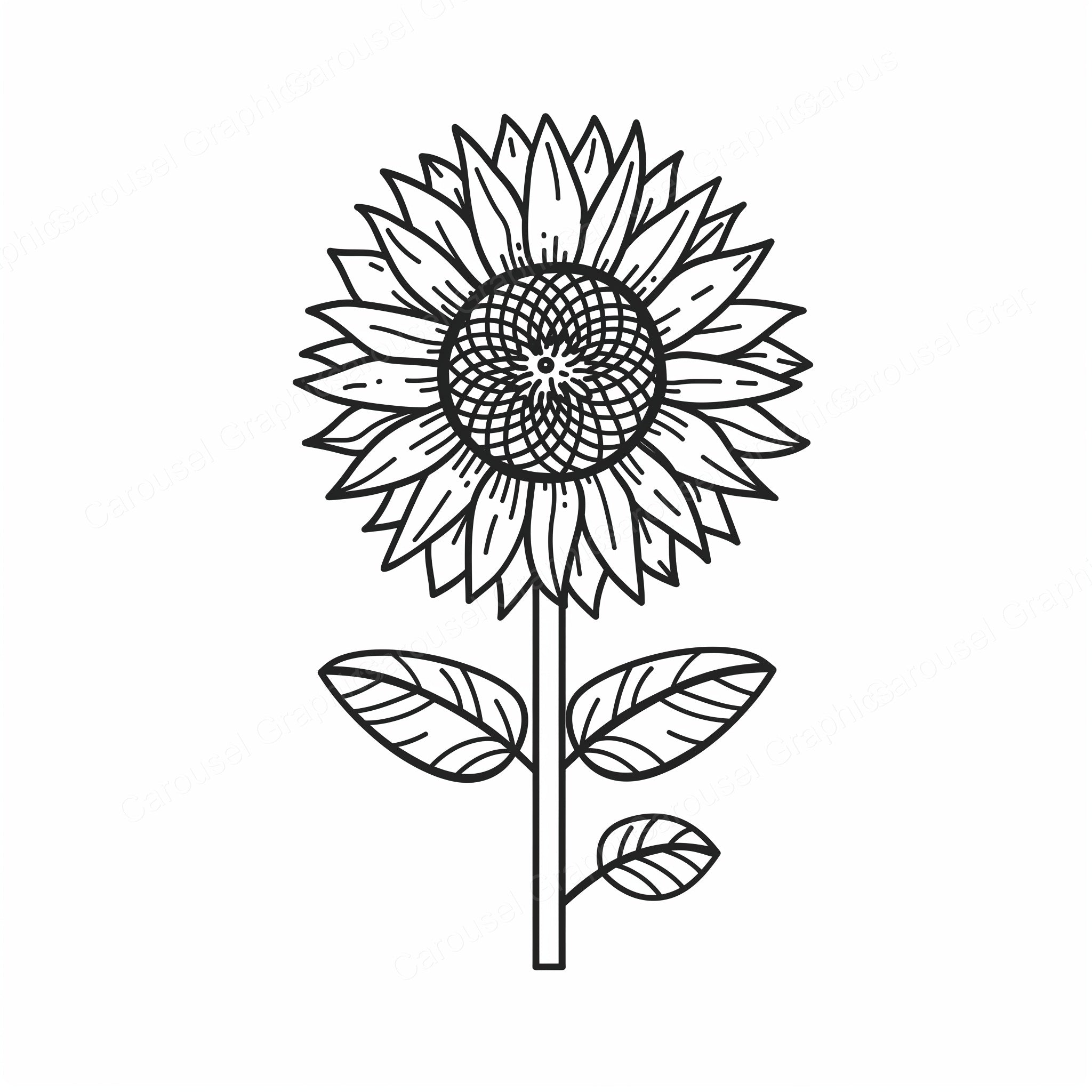 Sunflower Vector Graphic preview
