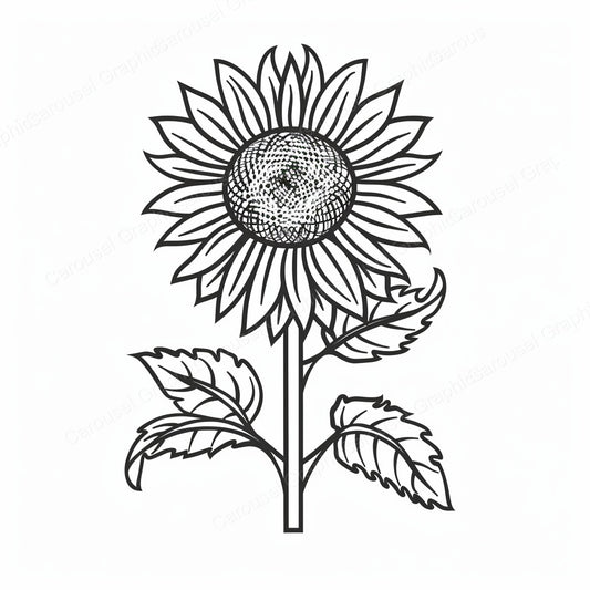 Sunflower Vector Graphic preview