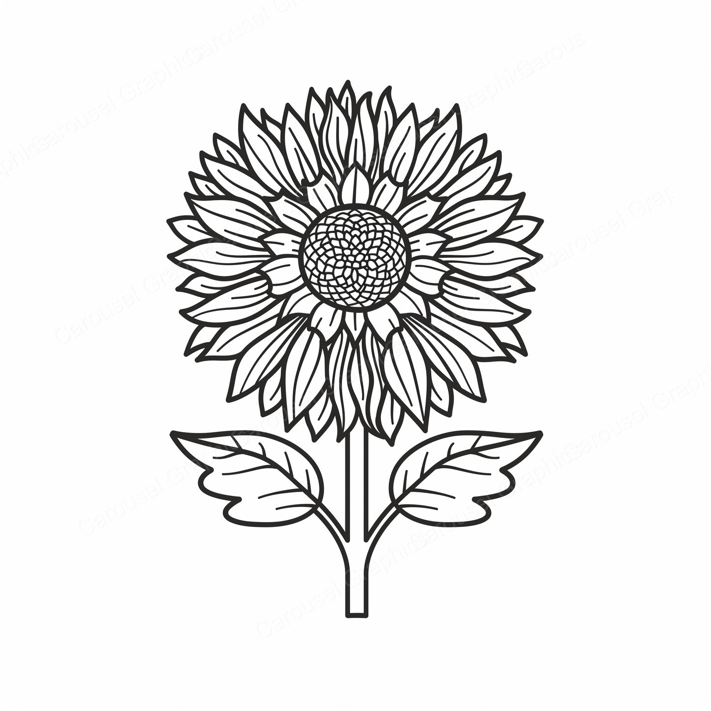 Sunflower Vector Graphic preview