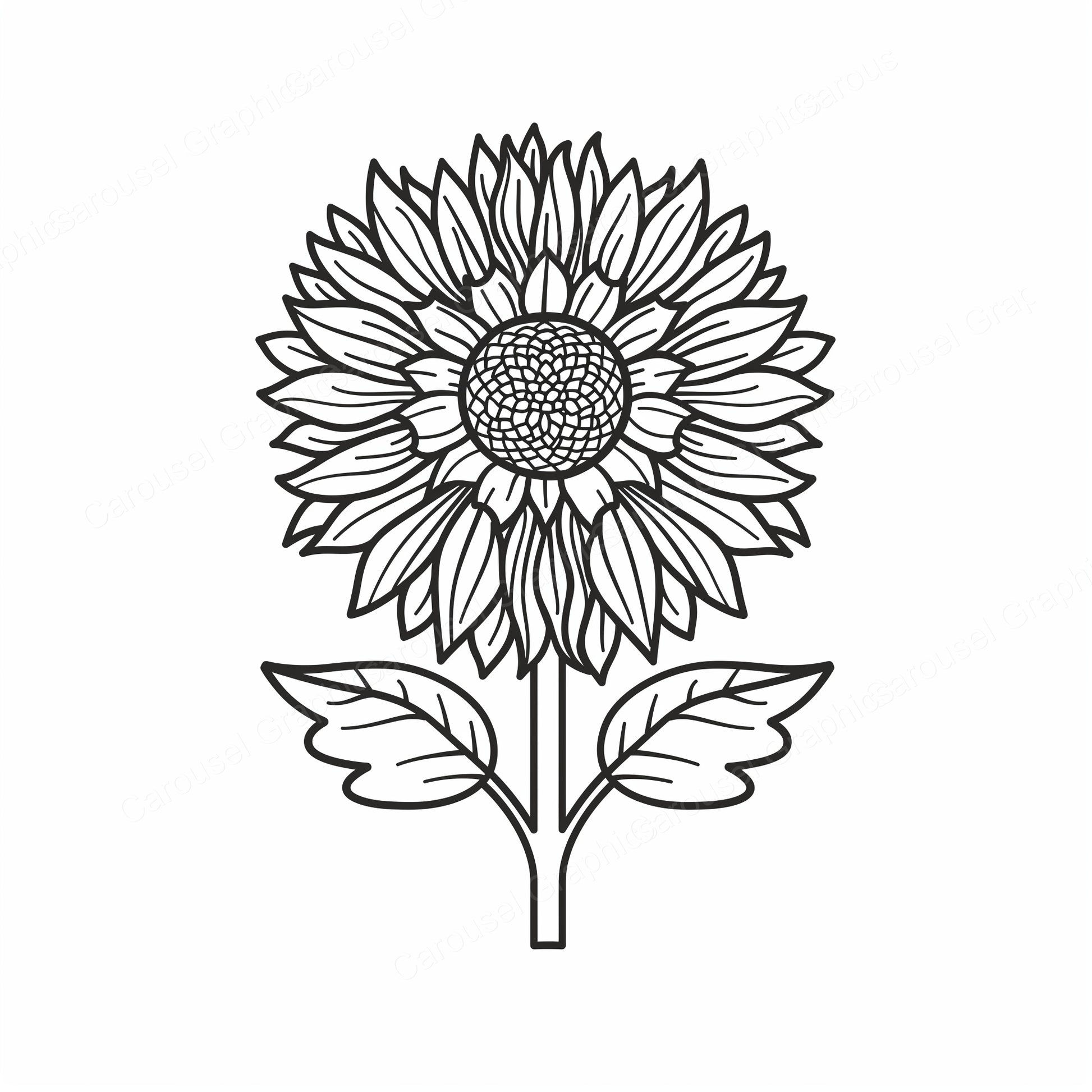 Sunflower Vector Graphic preview